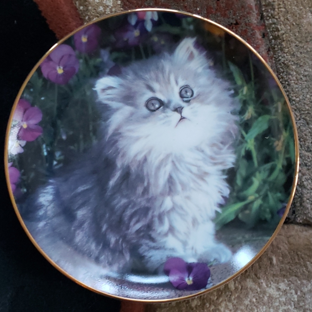 Collector plate
